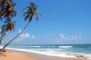 Goa Air Package - Resort De Coracao | Go Discover Abroad